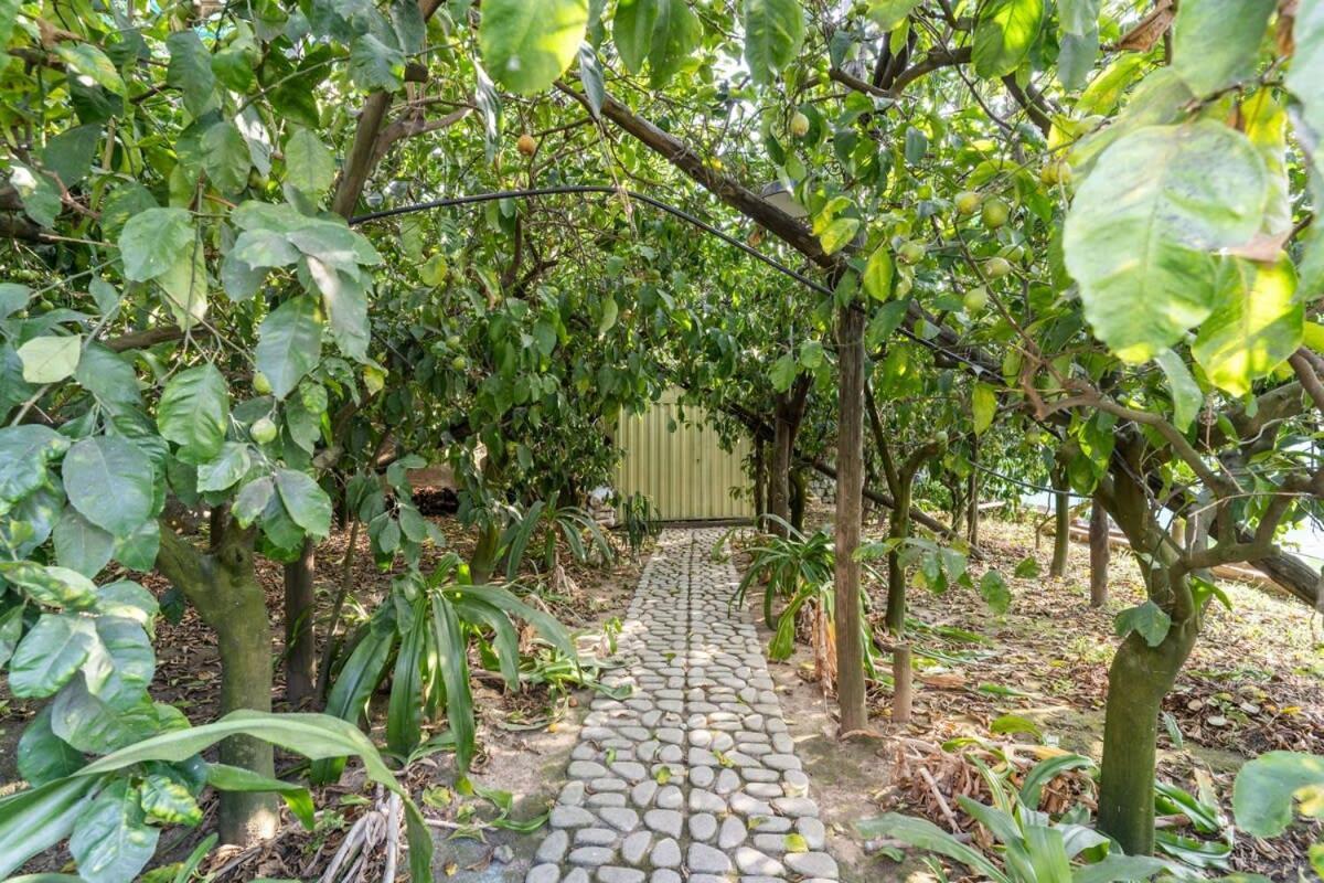 Villa Mimosa Rustic Elegance Views & Pool Massa Lubrense Luaran gambar
